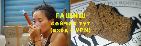индика Гусиноозёрск