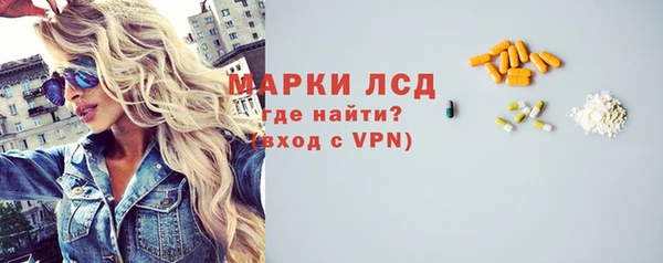 сатива Гусев