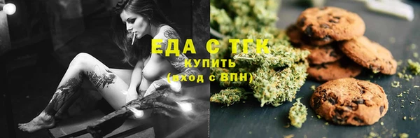 индика Гусиноозёрск
