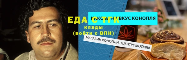 индика Гусиноозёрск