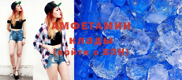 амф Горняк