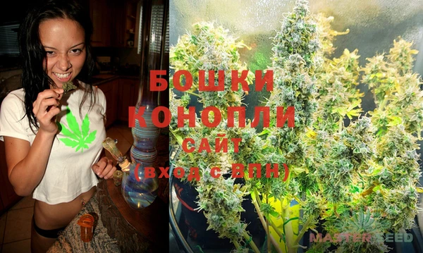 сатива Гусев