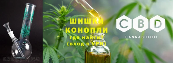 индика Гусиноозёрск