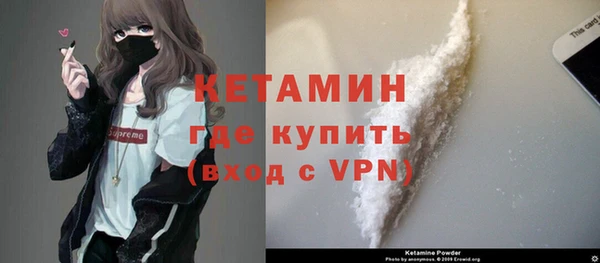 сатива Гусев
