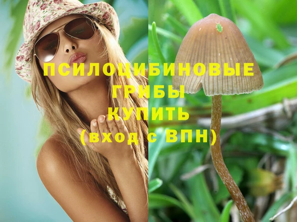 индика Гусиноозёрск