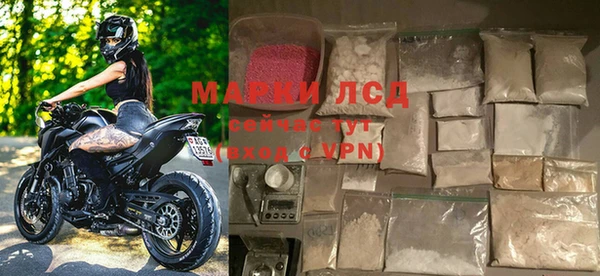 сатива Гусев