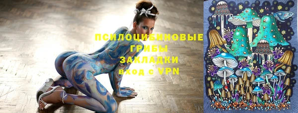 прущая мука Гусь-Хрустальный