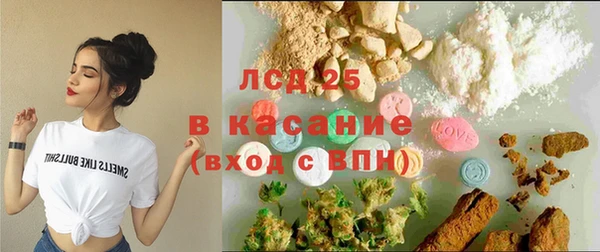 сатива Гусев