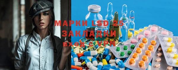 индика Гусиноозёрск