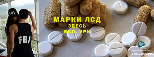 индика Гусиноозёрск